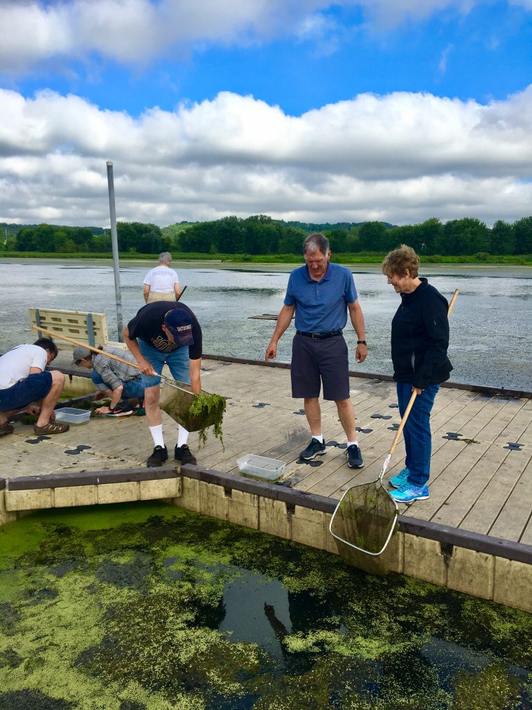 Scientists standing at a dock looking into the water